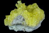 Sulfur Crystals on Matrix - Bolivia #84514-1